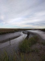 /album/fotos/img-20201005-093146-small-jpg/